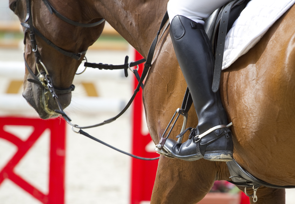 Equine Fair The Exeter Daily
